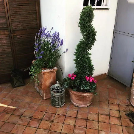 Rob's Roman Terrace Apartment Rome